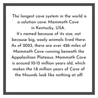 The longest caves system in the world is a solution cave: Mammoth Cave in Kentucky, USA. It’s named because of its size, not because big, wooly animals lived there. As of 2023, there are over 426 miles of Mammoth Cave running beneath the Appalachian Plateaus. Mammoth Cave is around 10-15 million years old, which makes the 1.8 million years of Cave of the Mounds look like nothing at all!