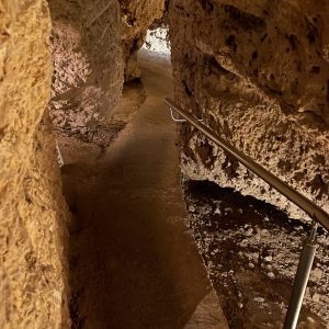 Pathway through rock with railing along the side in the Driftless Area