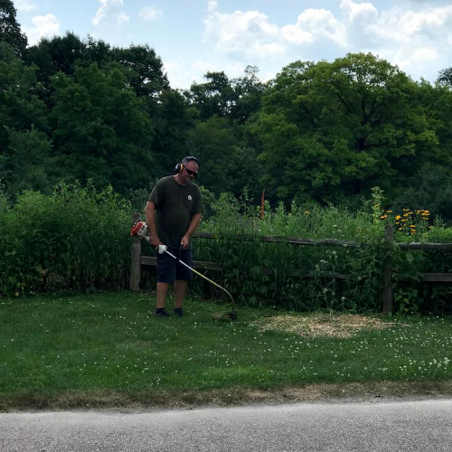 Photo of our Facilities Manager using a weed wacker.