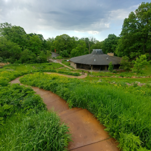 Pathway to the visitor Center