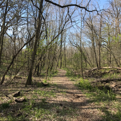 Trail in the Woodland Restoration Area in the Driftless Area