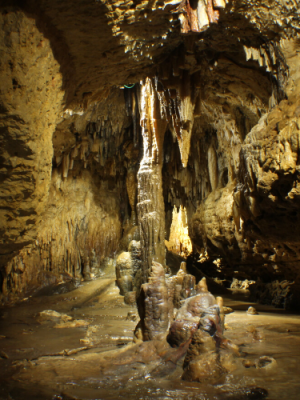 Column in Cave of the Mounds