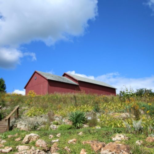 Photo of our Barn in the Summer at a must-see place in Wisconsin​