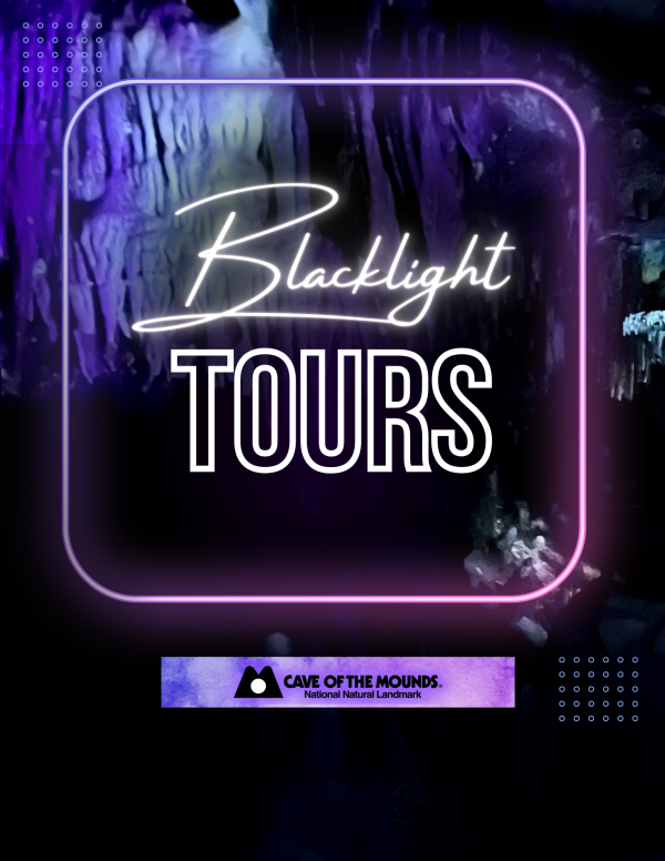 Blacklight Tours