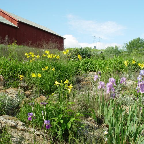 Photo of Grounds and Gardens with Flowers with a Barn