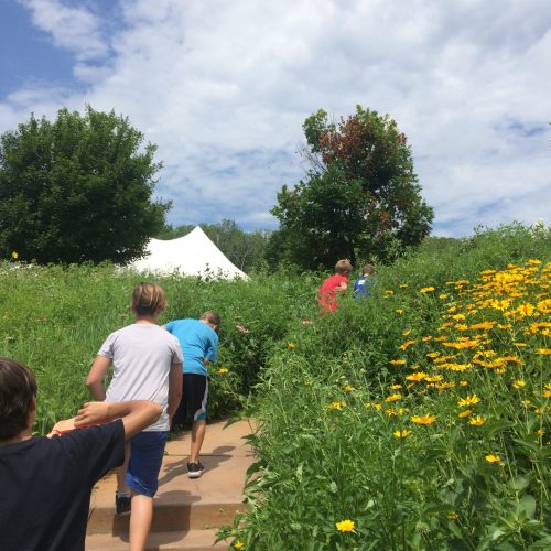 Kids walking through a prairie garden as one of the Wisconsin activities we offer