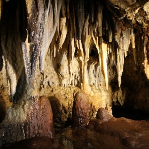 Photo of our Beauty Rooms with beehive stalagmites and tons of color in our secret garden at this must-see place in Wisconsin​