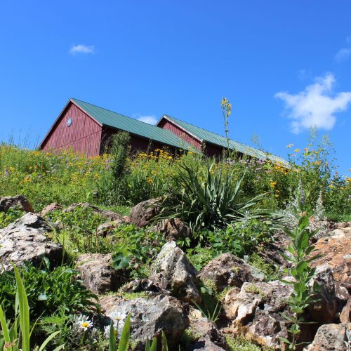 Photo of Chert boulders in the prairie with Barn in the background at a must-see place in Wisconsin​