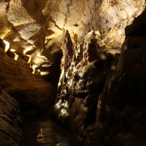 Row of Stalagmites