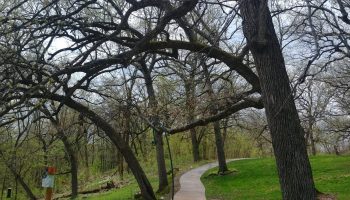 Photo of the start of our Trails in the Spring at this must-see place in Wisconsin​ near Madison