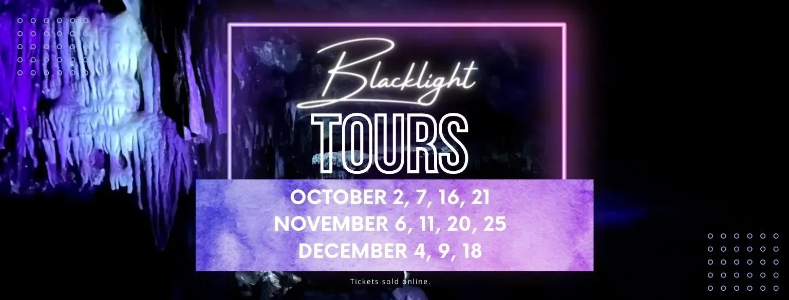 Blacklight Tours at 4.30 PM on select Sundays and Fridays
